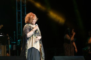 Alcione Marrom by Eliseu Fiuza-44 (3)